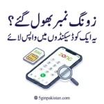Forgot Your Zong Number? This One Code Brings It Back in Seconds