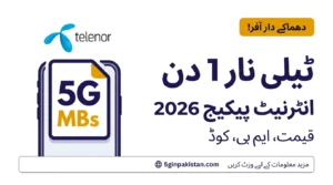 Telenor 1 Day Internet Package 2026 – Price, MBs & Code